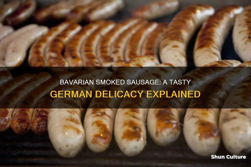 what is a bavarian smoked sausage