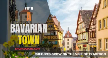 Explore the Charm of a Bavarian Town