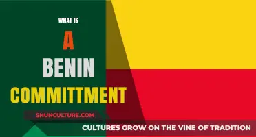 Understanding Benin Commitments: A Comprehensive Guide