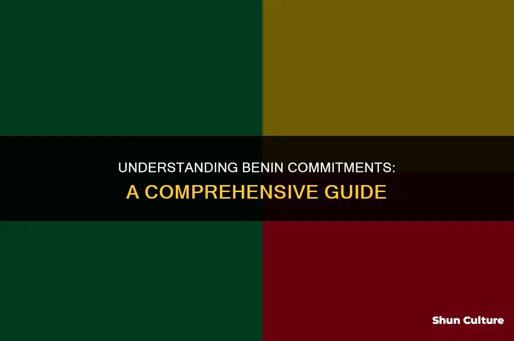 what is a benin committment