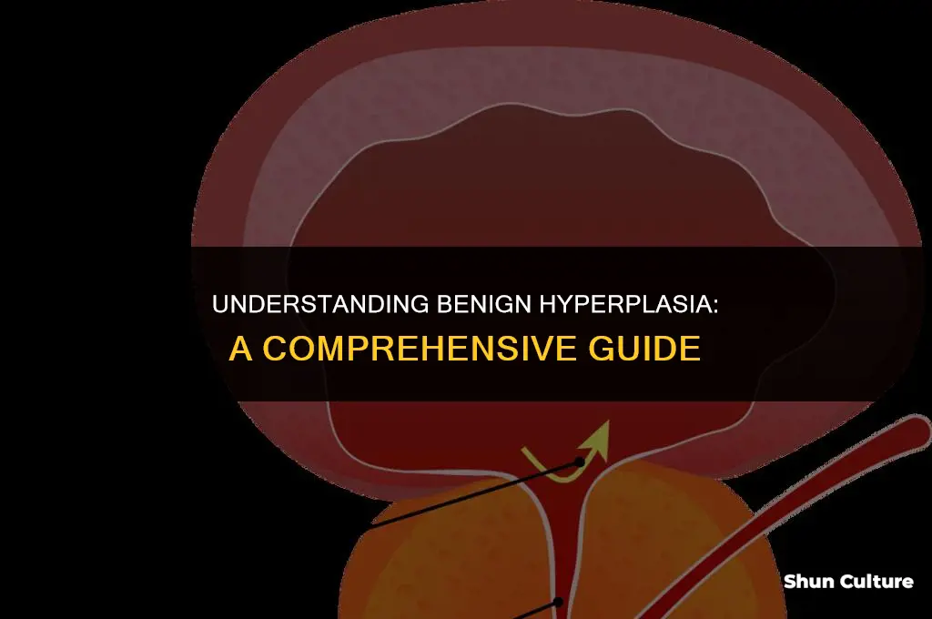 what is a benine luberal