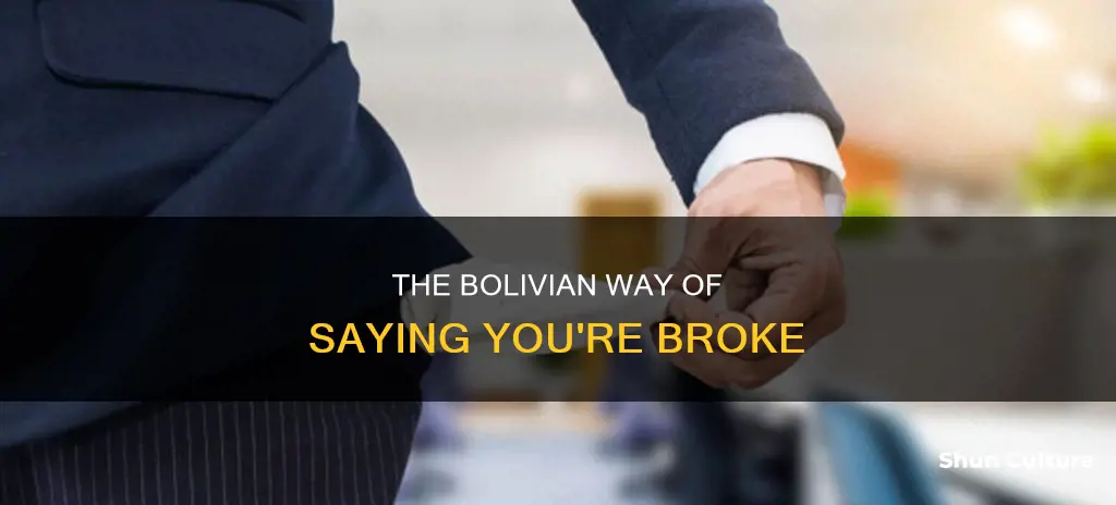 what is a bolivian saying that you have no money