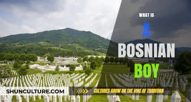 Understanding the Cultural Identity of a Bosnian Boy: A Comprehensive Guide