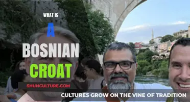 Understanding Bosnian Croats: Identity, History, and Cultural Significance Explained