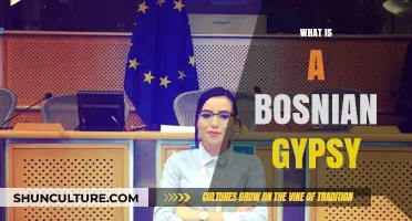 Understanding Bosnian Gypsies: Culture, History, and Identity Explained