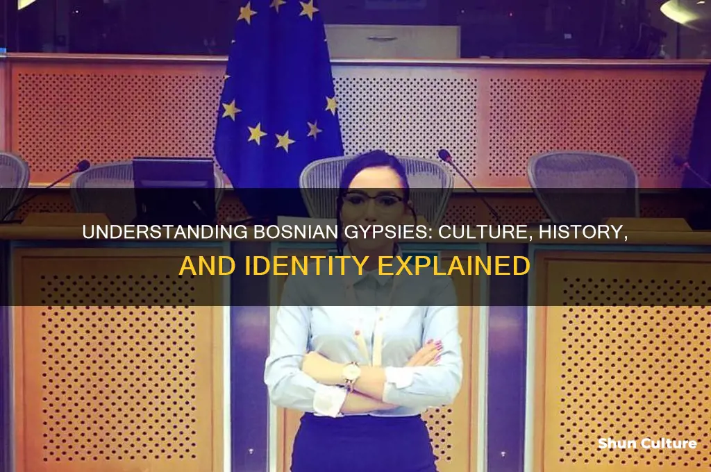 what is a bosnian gypsy