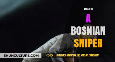 Understanding the Bosnian Sniper: History, Tactics, and Legacy Explained