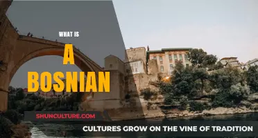 Understanding Bosnian Identity: Culture, History, and People Explained