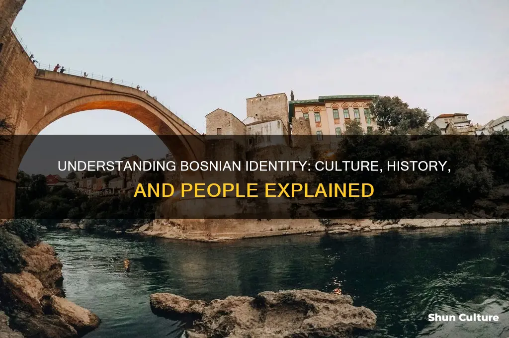 what is a bosnian