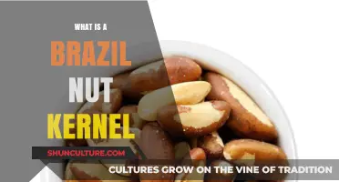 Discover the Rich Benefits and Uses of Brazil Nut Kernels