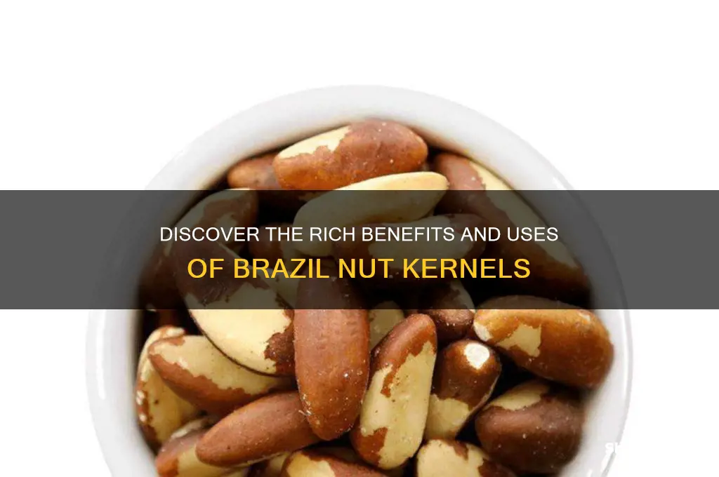 what is a brazil nut kernel