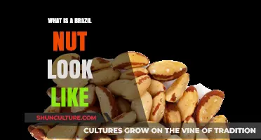 Discover the Unique Appearance of a Brazil Nut: A Visual Guide