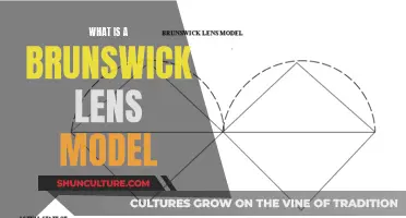 Brunswick Lens Model: Understanding Group Dynamics