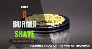 Unraveling the Mystery: What Exactly is a Burma Shave?