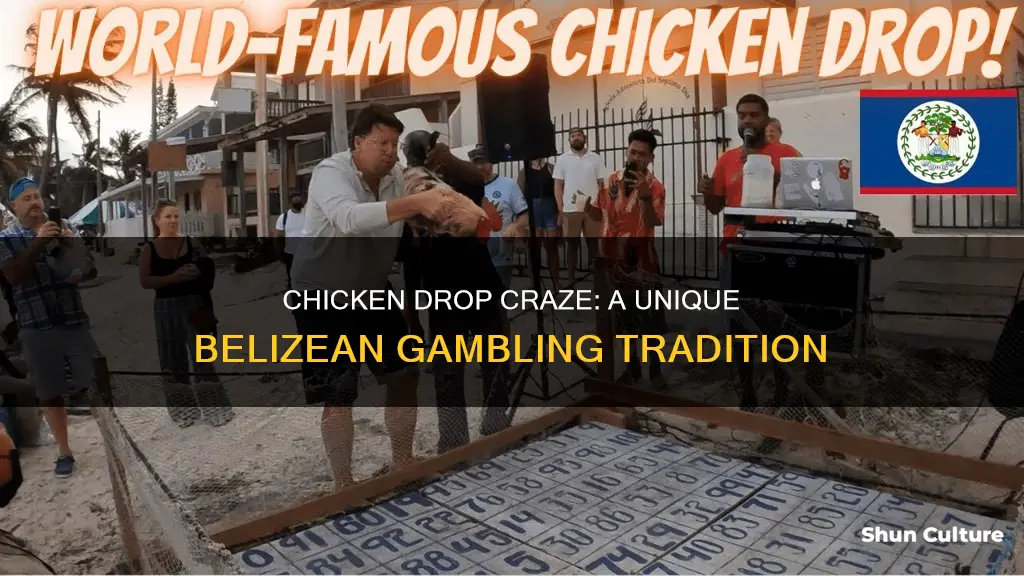 what is a chicken drop in belize