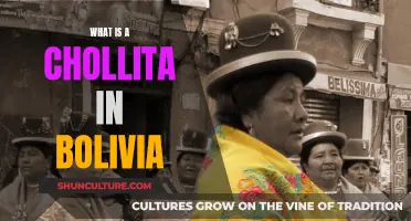 The Chollita: Bolivia's Cultural Icon and Tradition