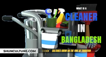 Understanding the Role and Impact of Cleaners in Bangladesh
