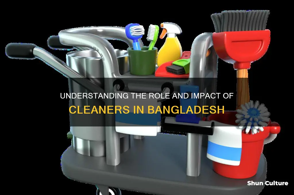 what is a cleaner in bangladesh