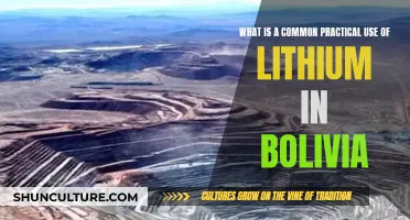 Practical Uses of Lithium in Bolivia: An Overview