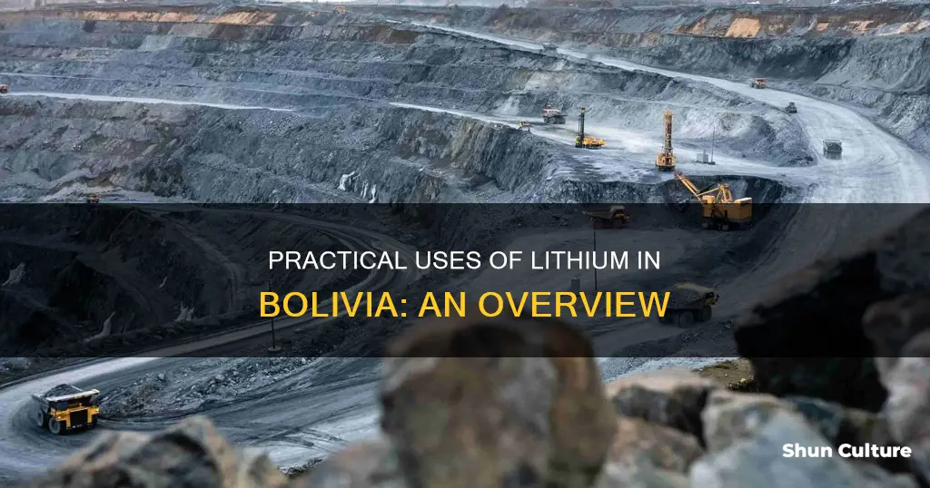 what is a common practical use of lithium in bolivia