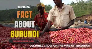 Unveiling Burundi's Hidden Gem: A Fascinating Fact You Need to Know
