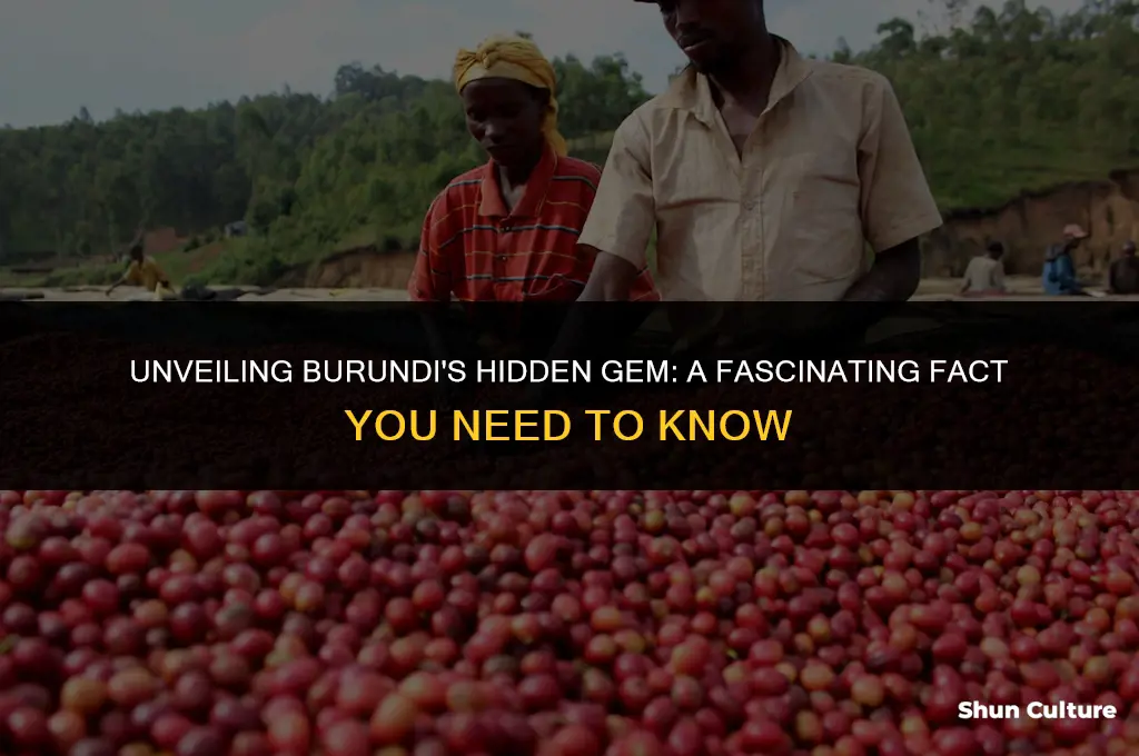 what is a cool fact about burundi
