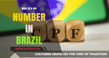 Understanding Brazil's CPF Number: A Comprehensive Guide for Expats