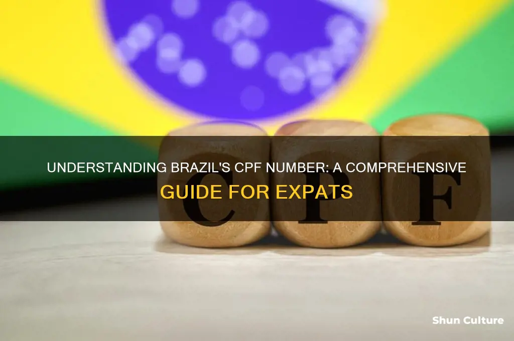 what is a cpf number in brazil