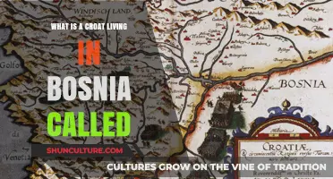 Understanding the Identity of Croats Residing in Bosnia and Herzegovina
