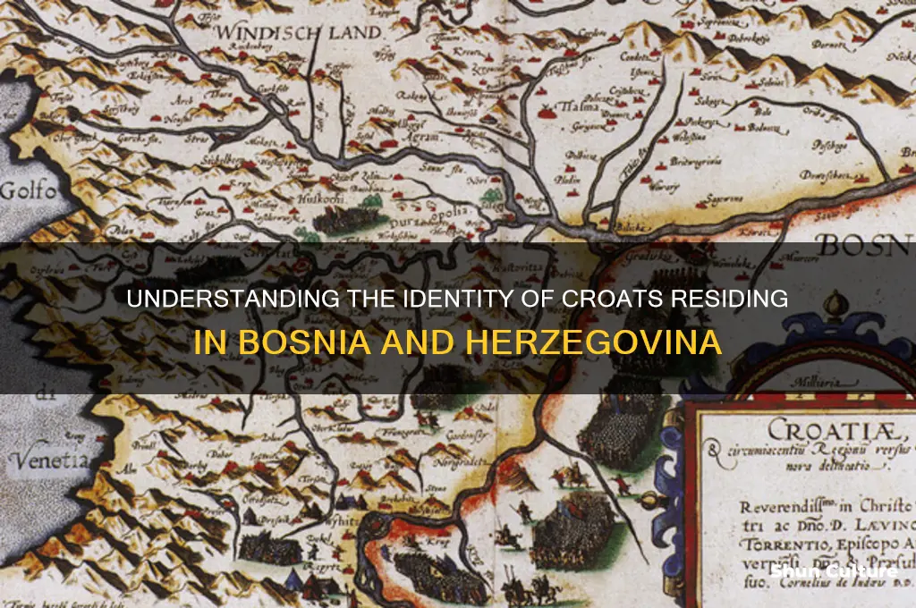 what is a croat living in bosnia called