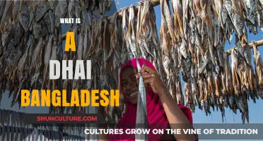 Understanding Dhai Bangladesh: History, Culture, and Significance Explained