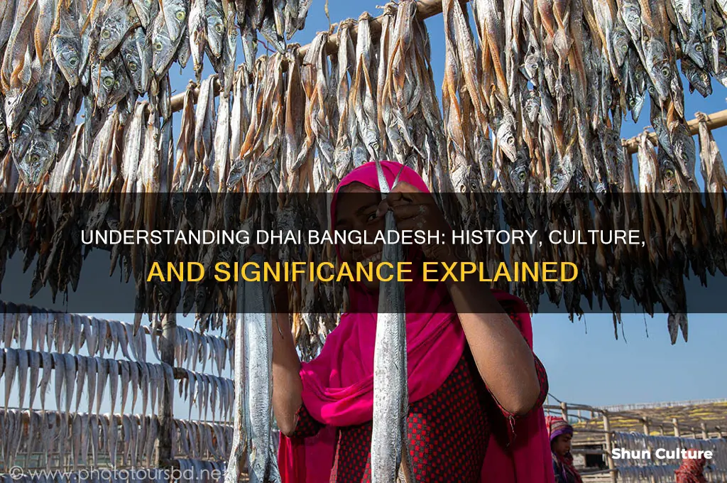 what is a dhai bangladesh