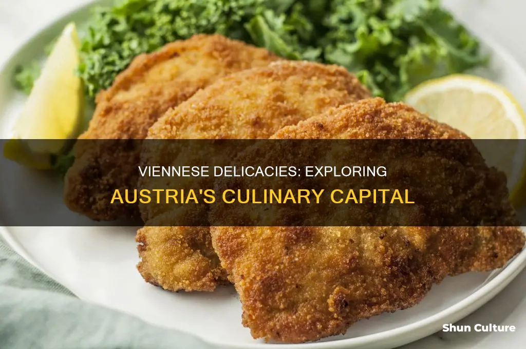 what is a dish that originated in vienna austria