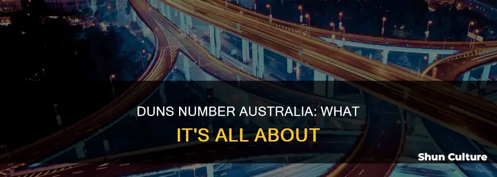 what is a duns number australia