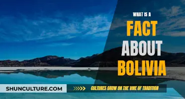 Exploring Bolivia: Intriguing Facts About the Country