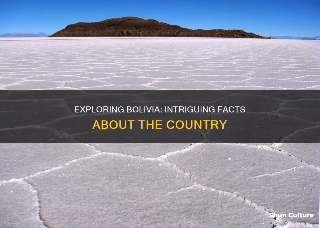 what is a fact about bolivia