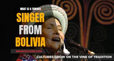 Famous Bolivian Singer: Who is the Country's Iconic Voice?