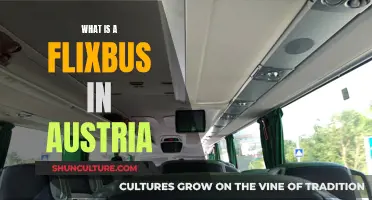 FlixBus: Austria's Affordable, Eco-Friendly Bus Network