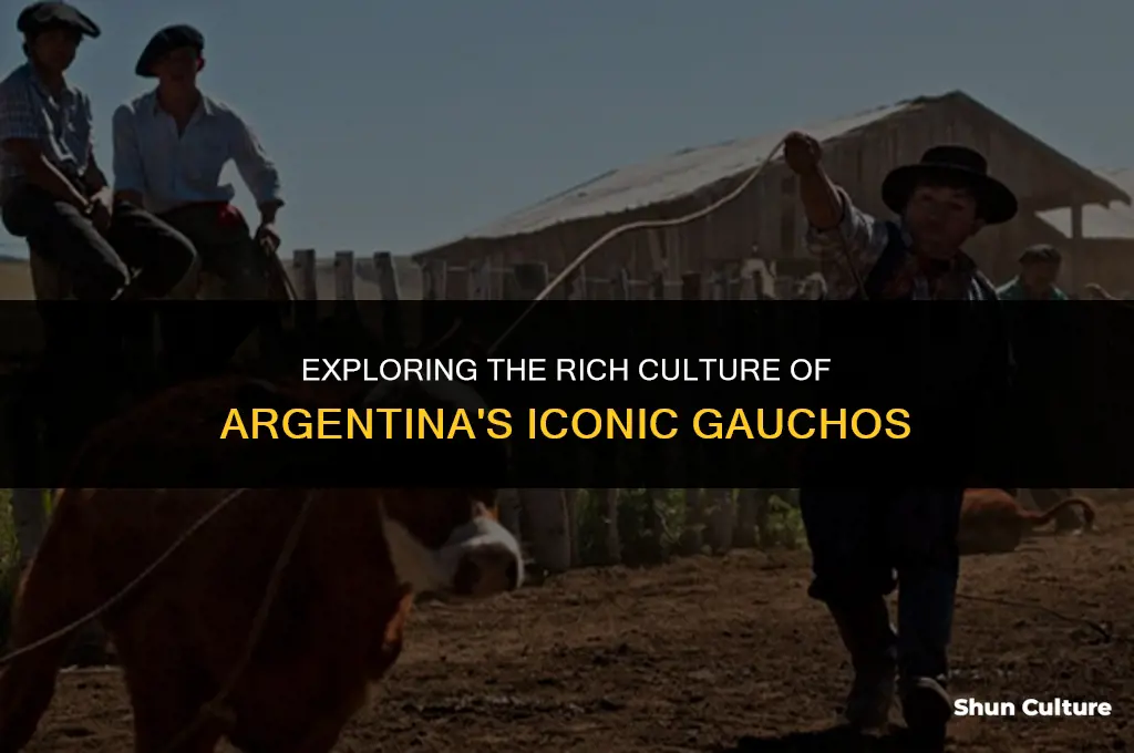 what is a gaucho in argentina