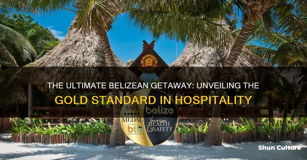 what is a gold standard hotel in belize