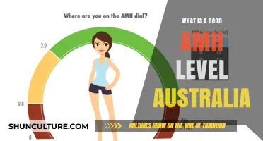 AMH Levels: What's Considered Normal in Australia?