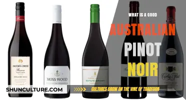 Australian Pinot Noir: Exploring the Best Varietals