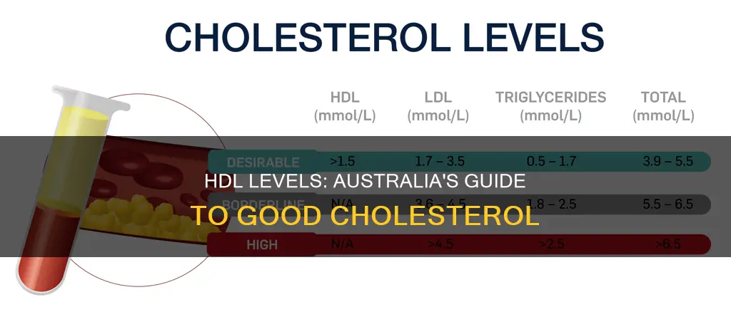 what is a good hdl level australia
