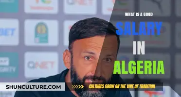 Understanding Competitive Salaries in Algeria: What Constitutes a Good Income?