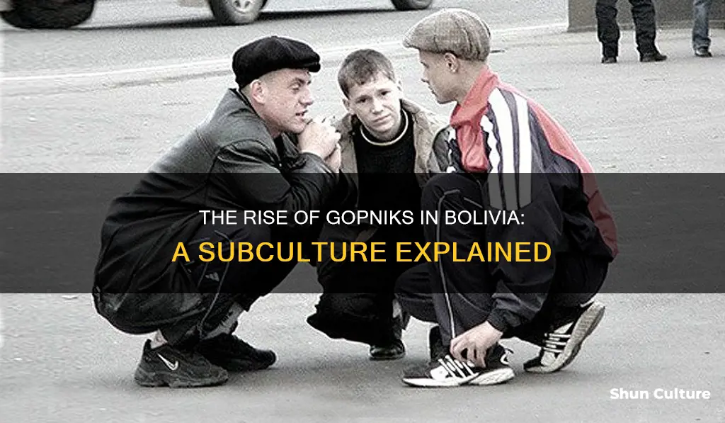 what is a gopnik bolivia