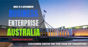 Understanding Government Business Enterprises in Australia