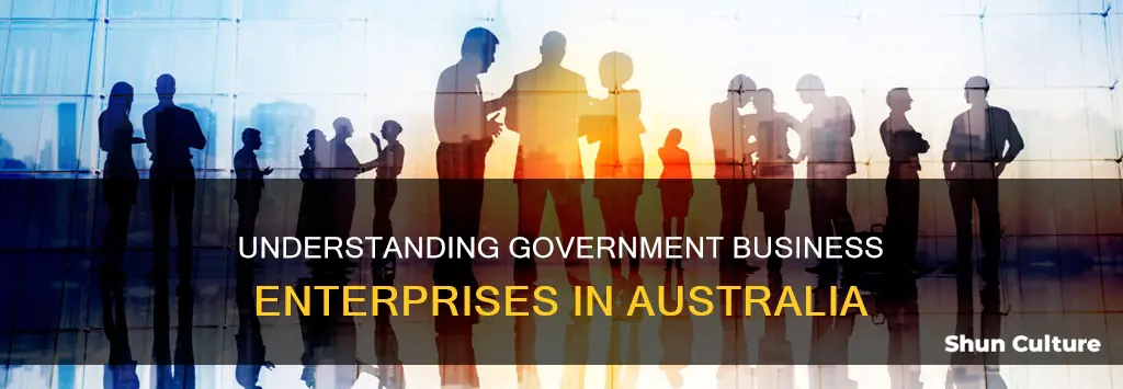 what is a government business enterprise australia