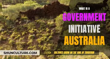 Australian Government Initiatives: Understanding Their Impact