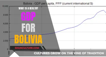 Bolivia's Healthy GDP: What's the Magic Number?