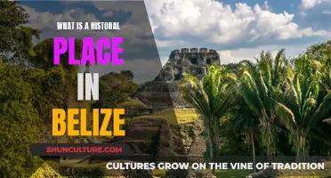 Belize's Ancient Secrets: Unveiling the Mystique of Historic Sites